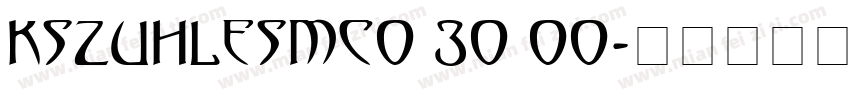 KSZUHLESMC0 30 00字体转换